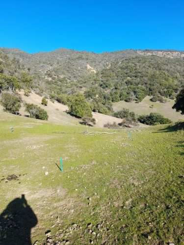 PARCELA Provincia de Colchagua, Comuna de Santa Cruz, Región de O´Higgins.
