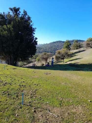 PARCELA Provincia de Colchagua, Comuna de Santa Cruz, Región de O´Higgins.