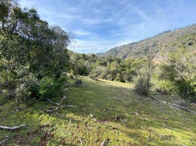 PARCELA Provincia de Colchagua, Comuna de Santa Cruz, Región de O´Higgins.