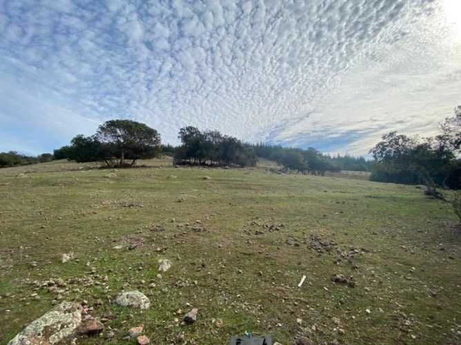 PARCELA Provincia de Colchagua, Comuna de Santa Cruz, Región de O´Higgins.