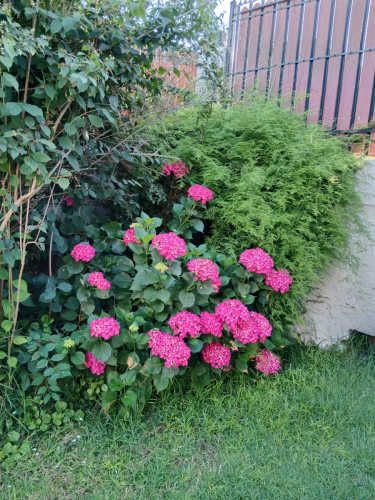 CASA Camilo Henriquez