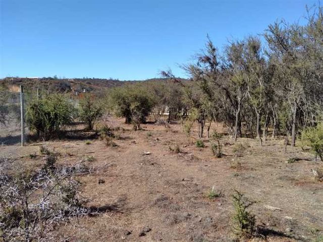 PARCELA Camino Colliguay / Ruta Orozco