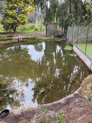 PARCELA EL CAJON DE SAN PEDRO