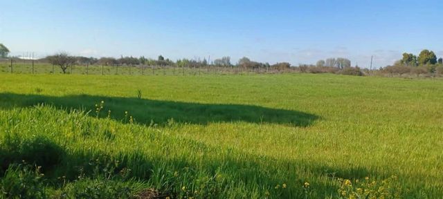 PARCELA SAN CARLOS CARRETERA PANAMERICANA SUR