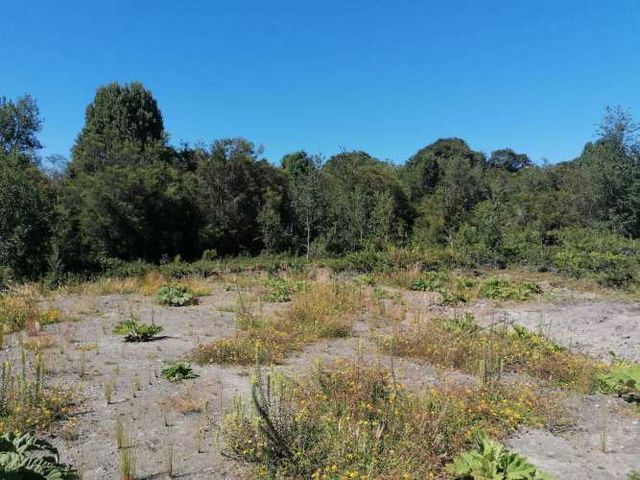 PARCELA CON LUZ Y AGUA EN PELLUCO ALTO (75203)