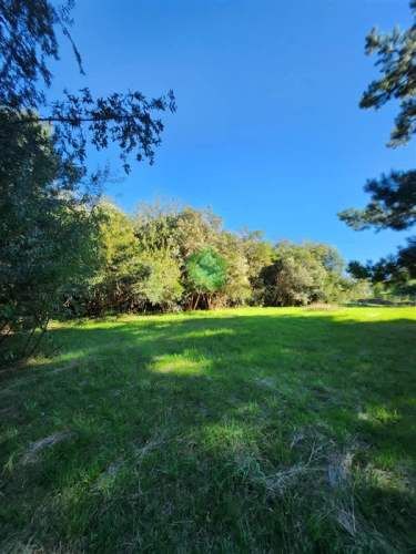 PARCELA Santa Emilia, Valdivia