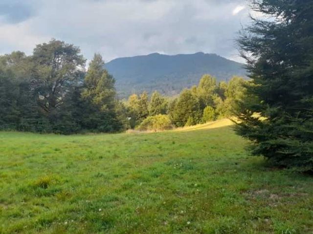 Parcela PUCON, TRUFULCO, CAMINO TERMAS DEL HUIFE