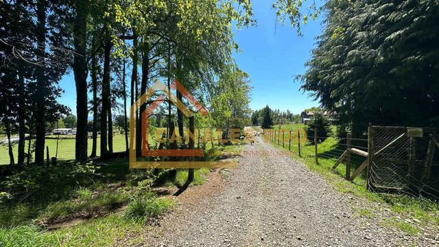 Campo como un Paraíso. Camino Panguipulli a Los Lagos