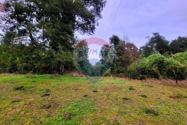 Venta 5,21 hà planas en fresia, la coihuería