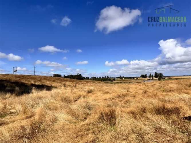 PARCELA Fundo Llanquihue