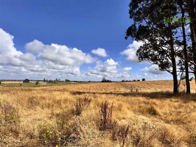 PARCELA Fundo Llanquihue
