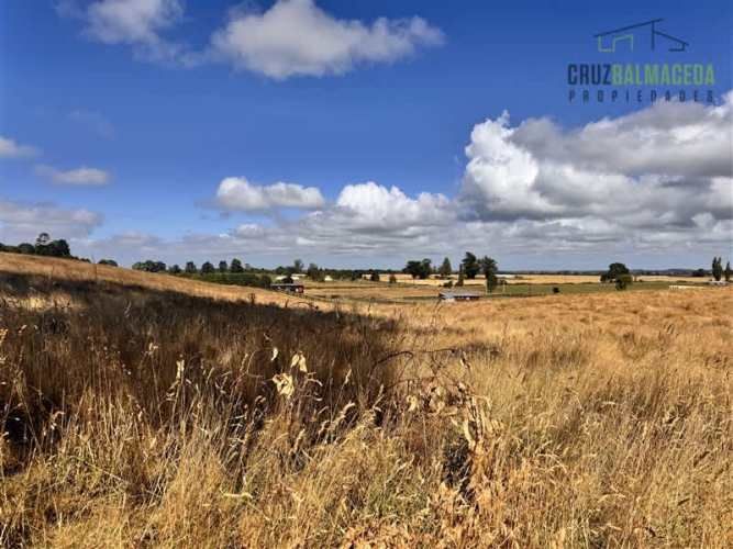 PARCELA Fundo Llanquihue