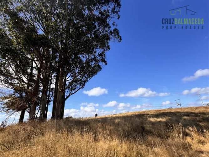 PARCELA Fundo Llanquihue