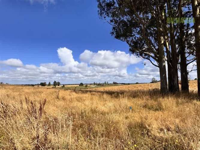 PARCELA Fundo Llanquihue