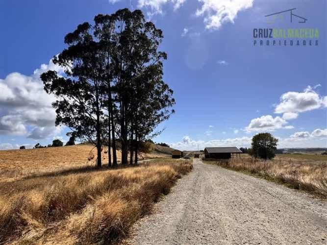 PARCELA Fundo Llanquihue