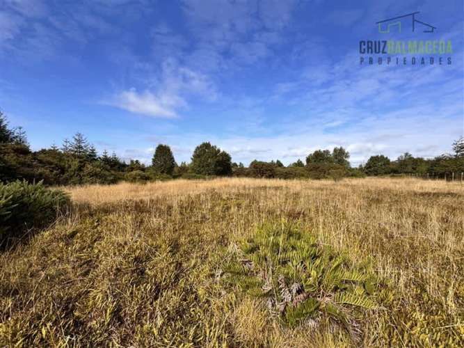 PARCELA Fundo Llanquihue