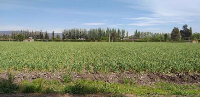 PARCELA 5300M2, EXCELENTE UBICACION Y ACCESO, TALAGANTE