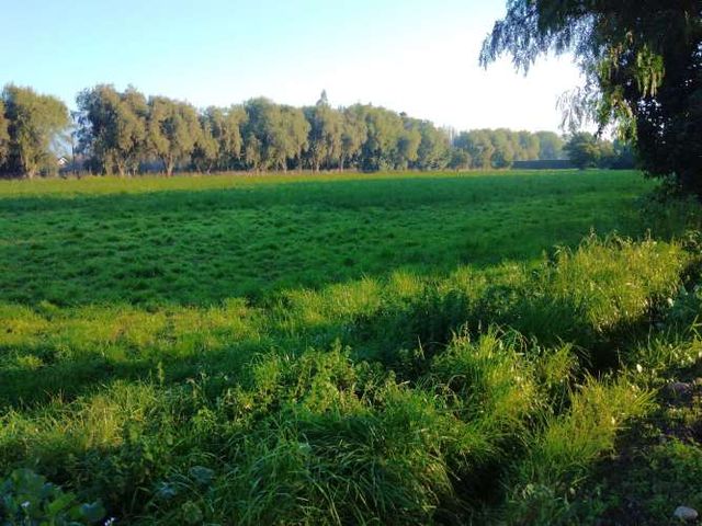 HERMOSA PARCELA EN PARCELACION CONSOLIDADA, TALAGANTE