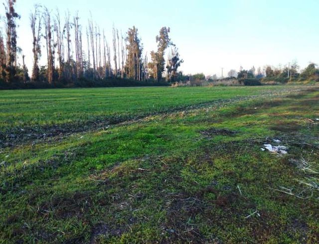 PARCELA EN PARCELACION NUEVA, AGUA, ELECTRICIDAD, TALAGANTE