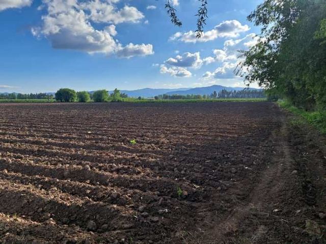 10 HA PLANAS, AGUA, EXCELENTE ACCESO, PALMILLA, VI R