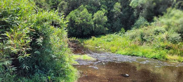 PARCELAS 5000 M2   ROL PROPIO RES SAG  REG DE LOS LAGOS!!