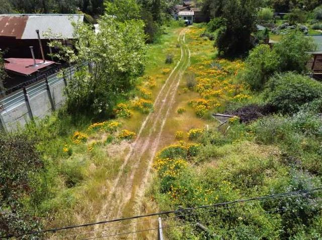 TERRENO PLANO DE 1300M2 A UNA CUADRA DE AV EASTMAN