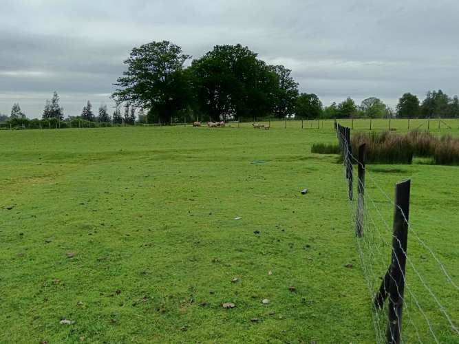 PARCELA EN VENTA CAMINO RIO NEGRO