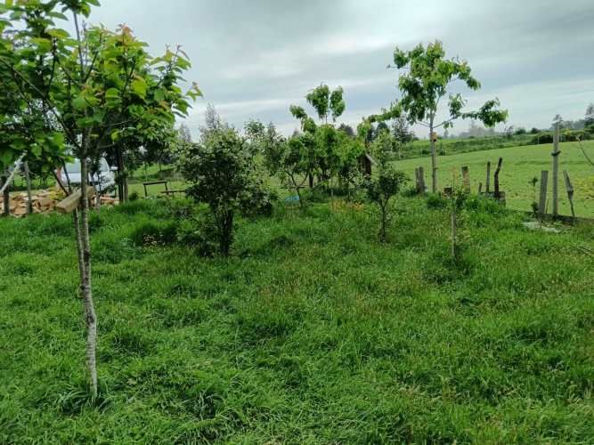 PARCELA EN VENTA CAMINO RIO NEGRO