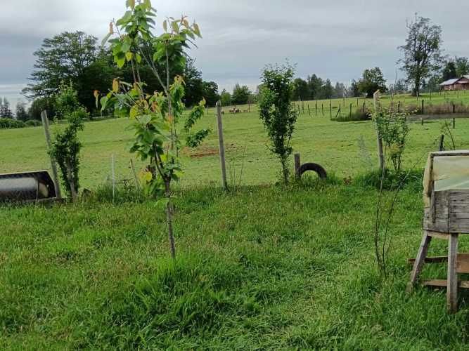 PARCELA EN VENTA CAMINO RIO NEGRO