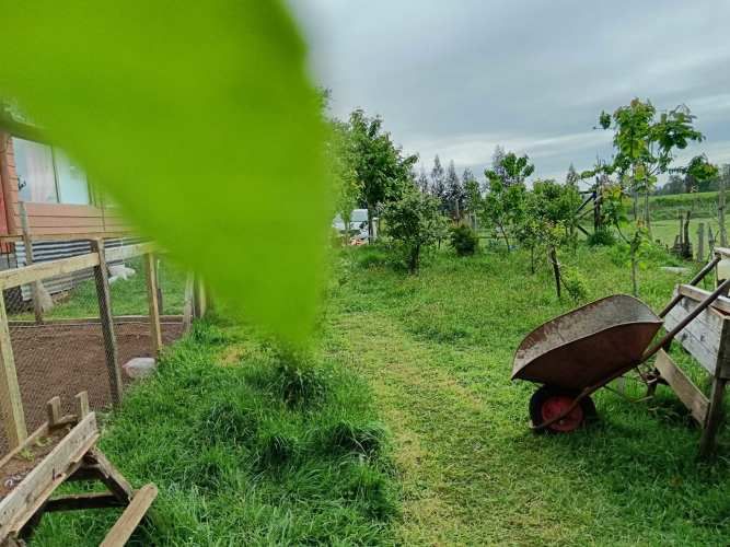 PARCELA EN VENTA CAMINO RIO NEGRO