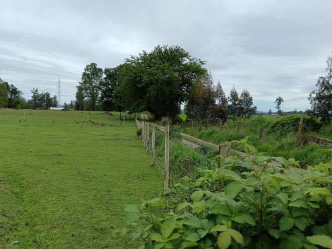 PARCELA EN VENTA CAMINO RIO NEGRO