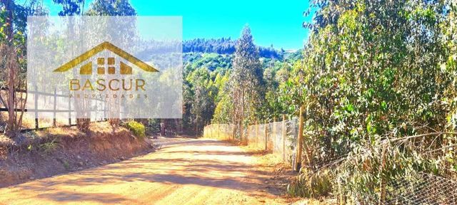 VENDEMOS SITIO 7500 METROS2 EN SANTO DOMINGO/ BUCALEMU