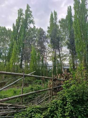 SE VENDE TERRENO RURAL RUTA CABRERO