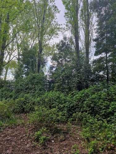 SE VENDE TERRENO RURAL RUTA CABRERO