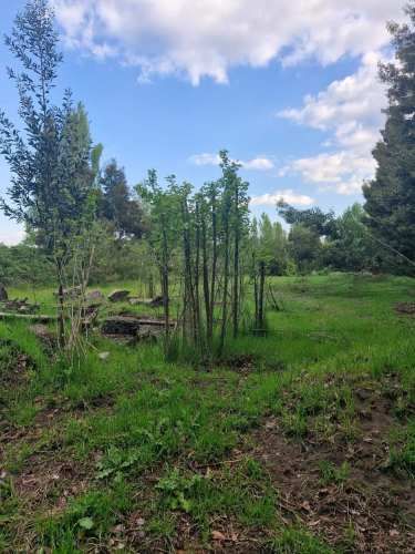SE VENDE TERRENO RURAL RUTA CABRERO