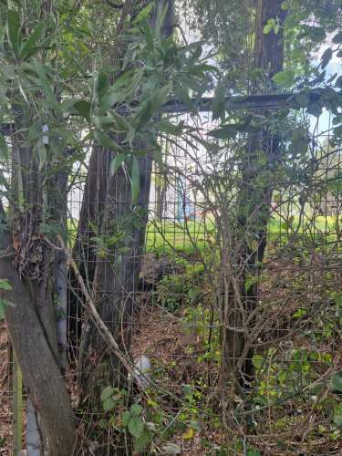 SE VENDE TERRENO RURAL RUTA CABRERO