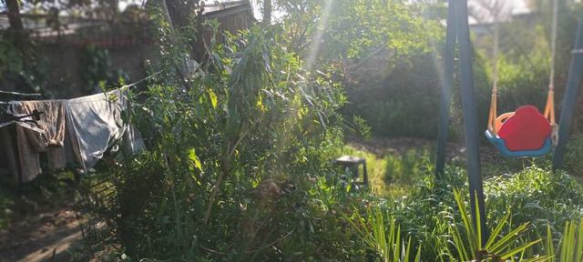 OPORTUNIDAD  TERRENO CASA HABITACIONAL