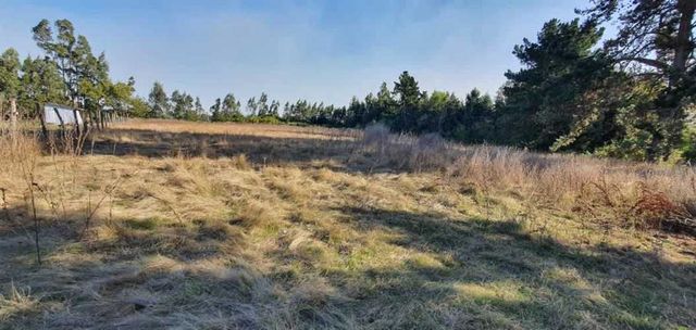 PARCELA Salida sur Padre las Casas