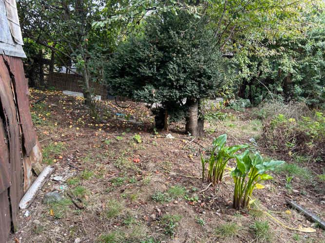 se vende casa con sitio