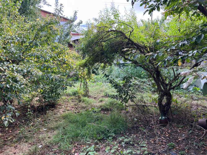 se vende casa con sitio