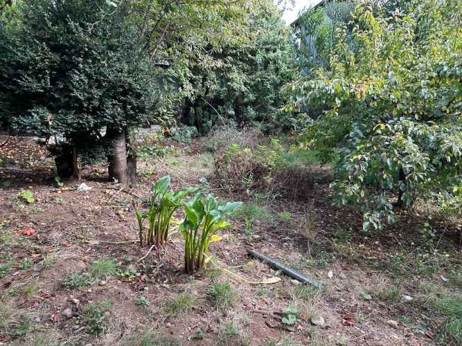 se vende casa con sitio