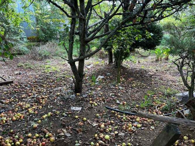 se vende casa con sitio