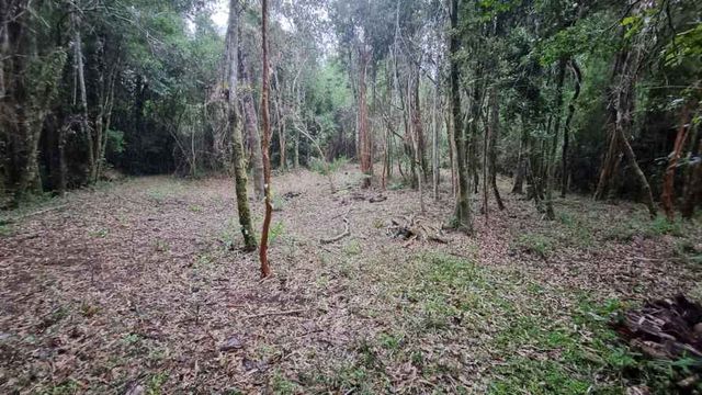 Parcela en Loteo Calfuco