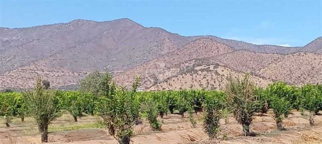 AGRICOLA Sector Challaco