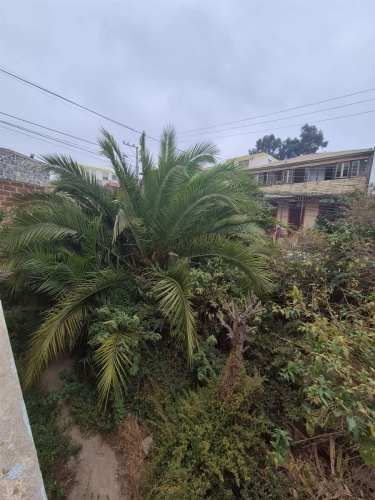 CASA Casona en Playa Ancha