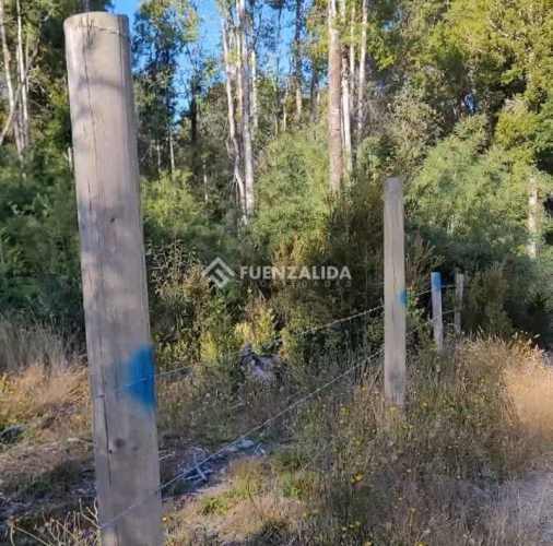 PARCELA COLACO,CALBUCO