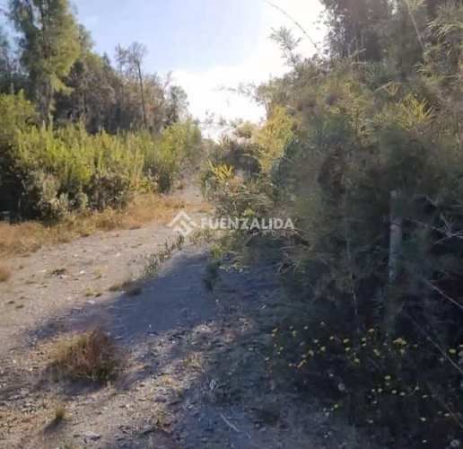 PARCELA COLACO,CALBUCO