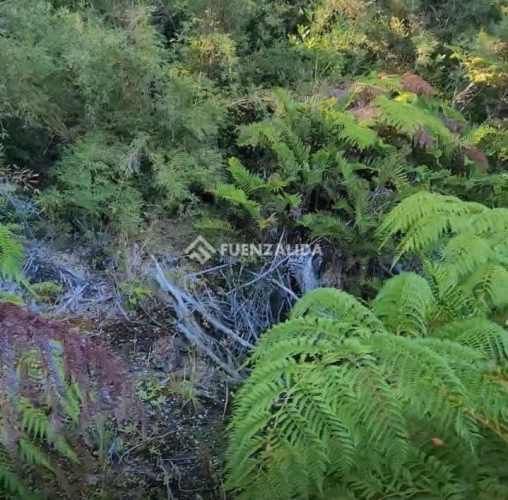 PARCELA COLACO,CALBUCO