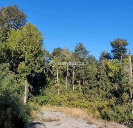 PARCELA COLACO,CALBUCO