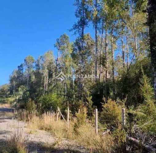 PARCELA COLACO,CALBUCO